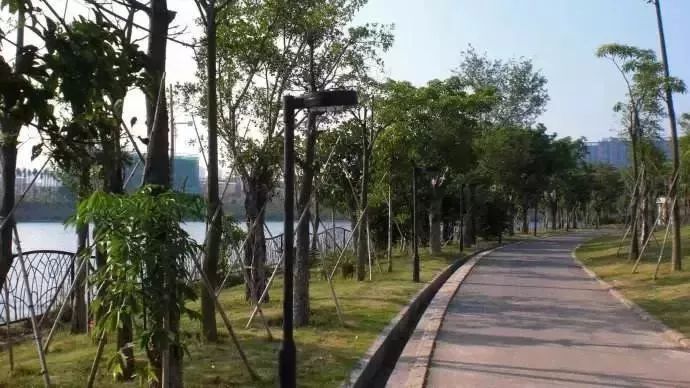 厦门最美环海步行栈道,厦门必去的十大跑道