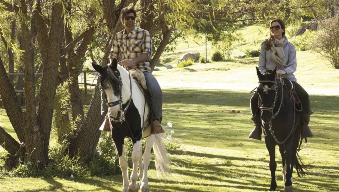 从此，LV不仅可以用来背，还可以用来睡…