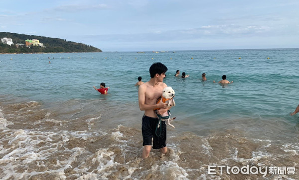 45只汪搭游览车出去玩 路人抢合照