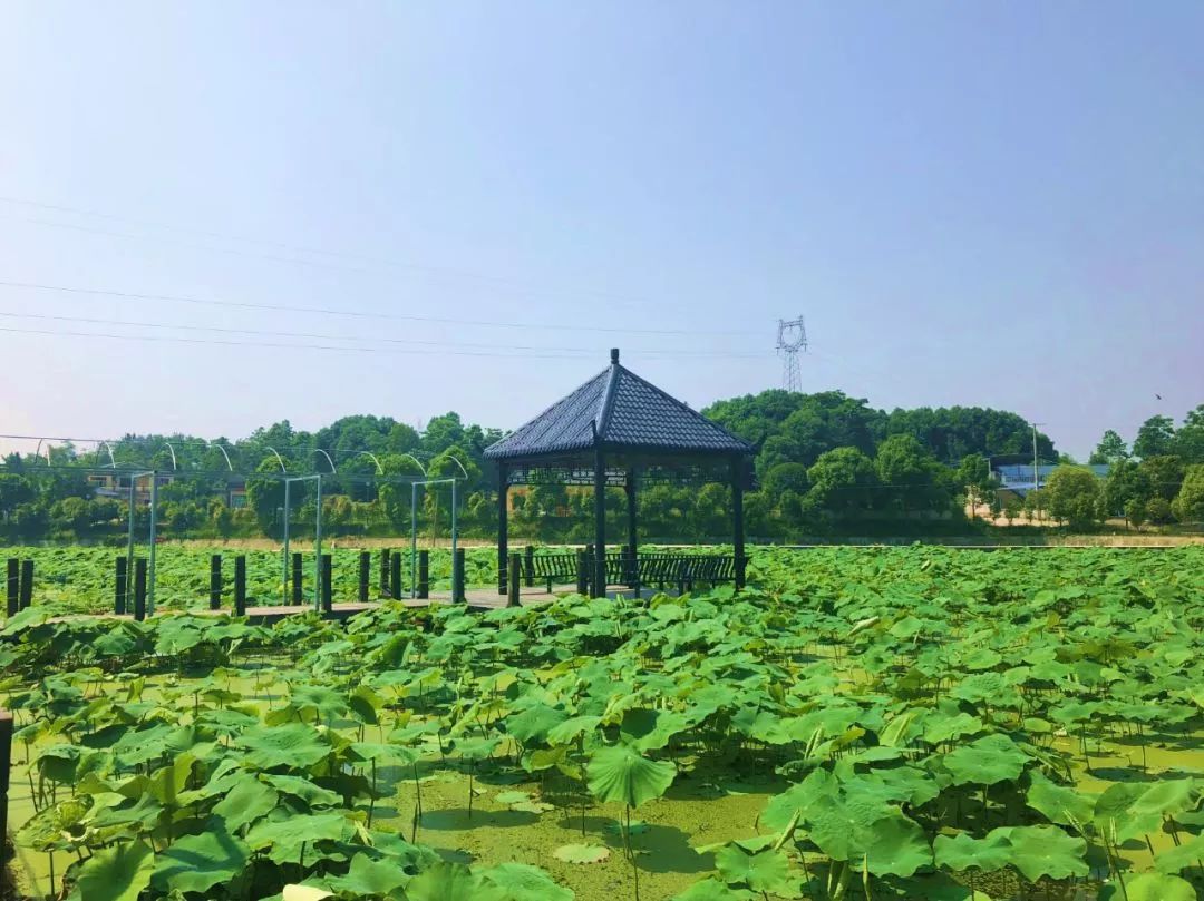 绵州安州景点,绵阳天府春晓两日游攻略