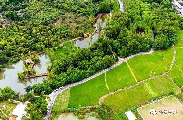 崇州自然赏花美景,崇州青山绿水