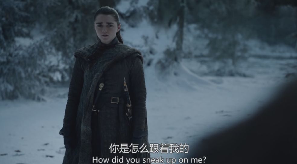 凛冬已至游戏怎么玩,权力的游戏凛冬将至场景