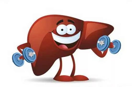 药物在体内要经过哪些过程,药物进入体内器官的过程