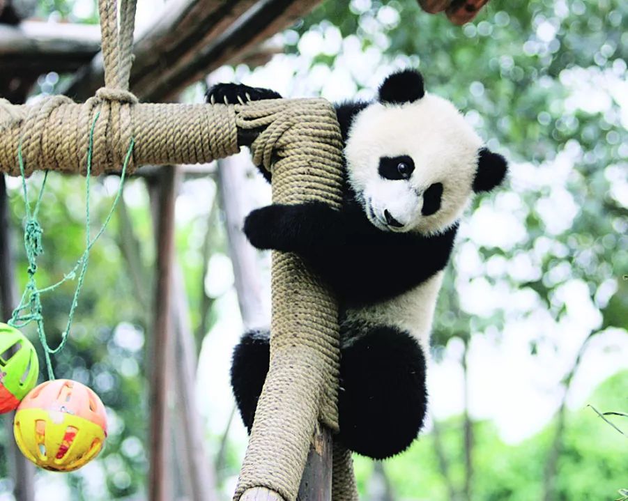 手绘油画班,手绘油画培训班