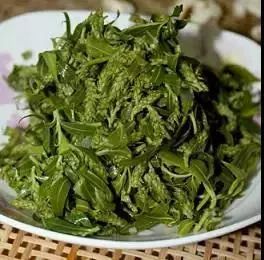 为了替你出气，我们给讨厌的杨柳絮来个“以暴制暴”