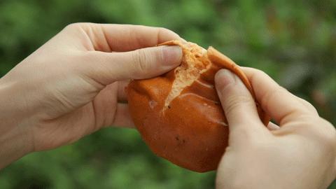 推荐好的面包店广州,广州高端面包店