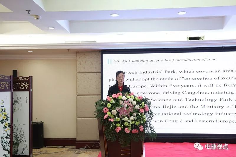 热烈欢迎斯洛伐克商务代表团来我区访问——我区举行中斯企业合作洽谈会