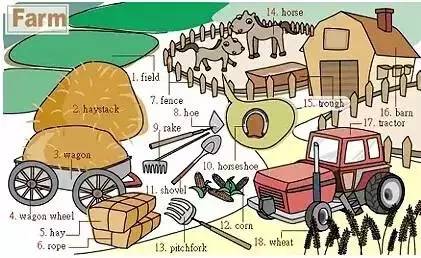 英语听力入门3000听力词汇,英语听力高考场景词汇