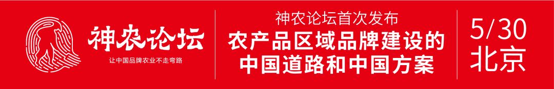 竹叶青峨眉高山绿茶100克价格,竹叶青峨眉高山绿茶中国销量领先