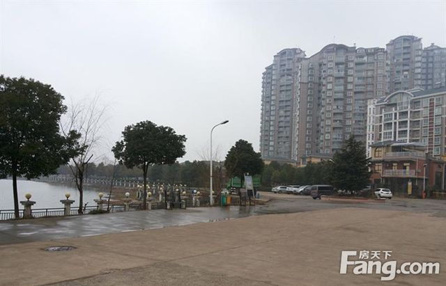 金雅公寓和常青哪个好,常青1号和1911哪个好