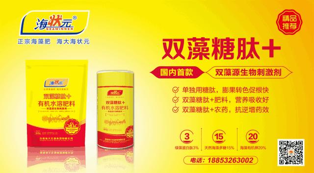 开普敦海藻精和海藻肥,海藻精新型肥料