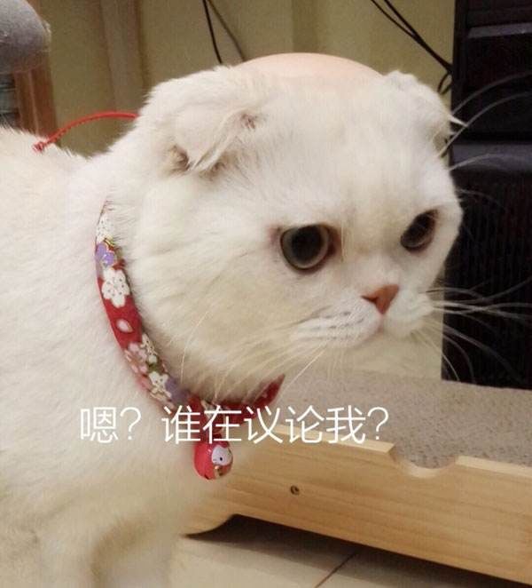 网红抖音沙雕段子,盘点抖音沙雕大网红