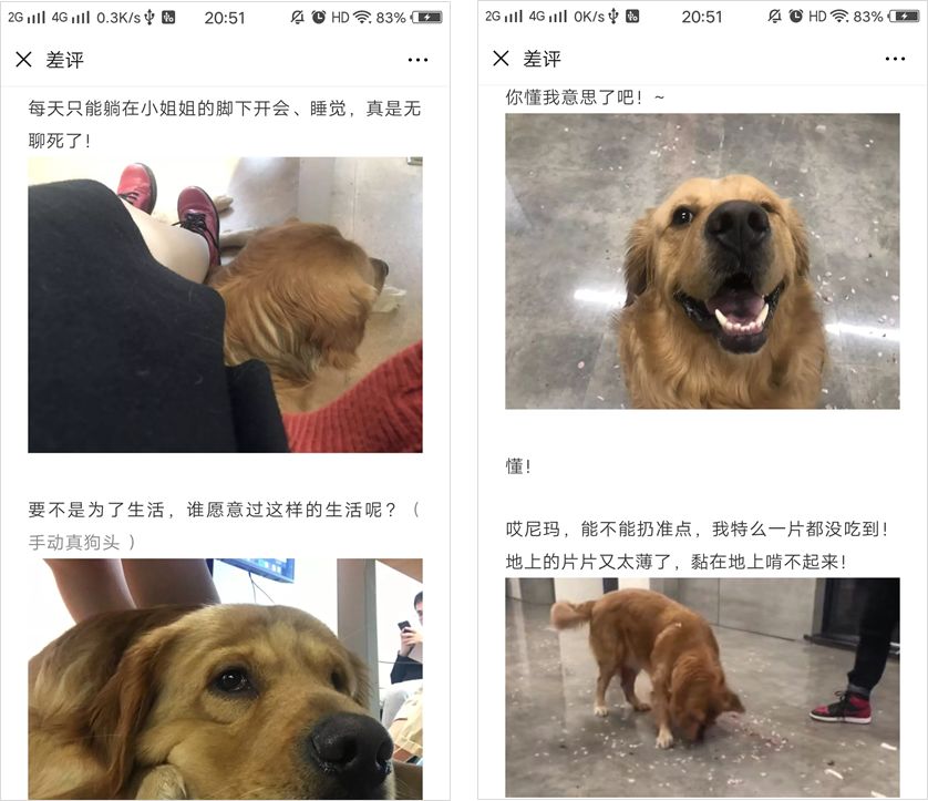 网红抖音沙雕段子,盘点抖音沙雕大网红