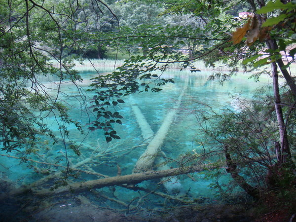 温馨提示,去九寨沟温馨提示