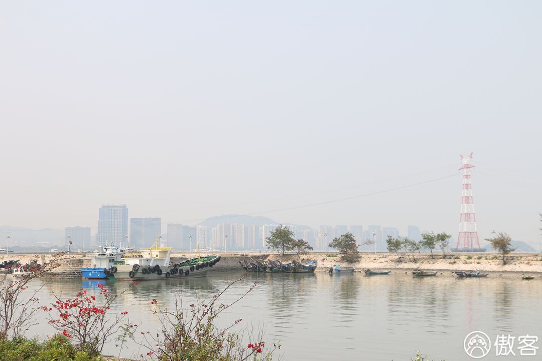 厦门海沧必去的美食店,厦门海沧地道美食