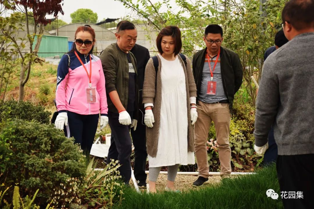 庭院自动喷灌效果图,地埋式喷灌庭院