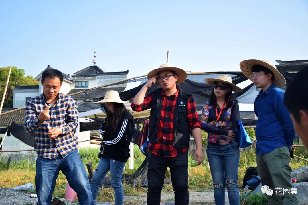 庭院自动喷灌效果图,地埋式喷灌庭院