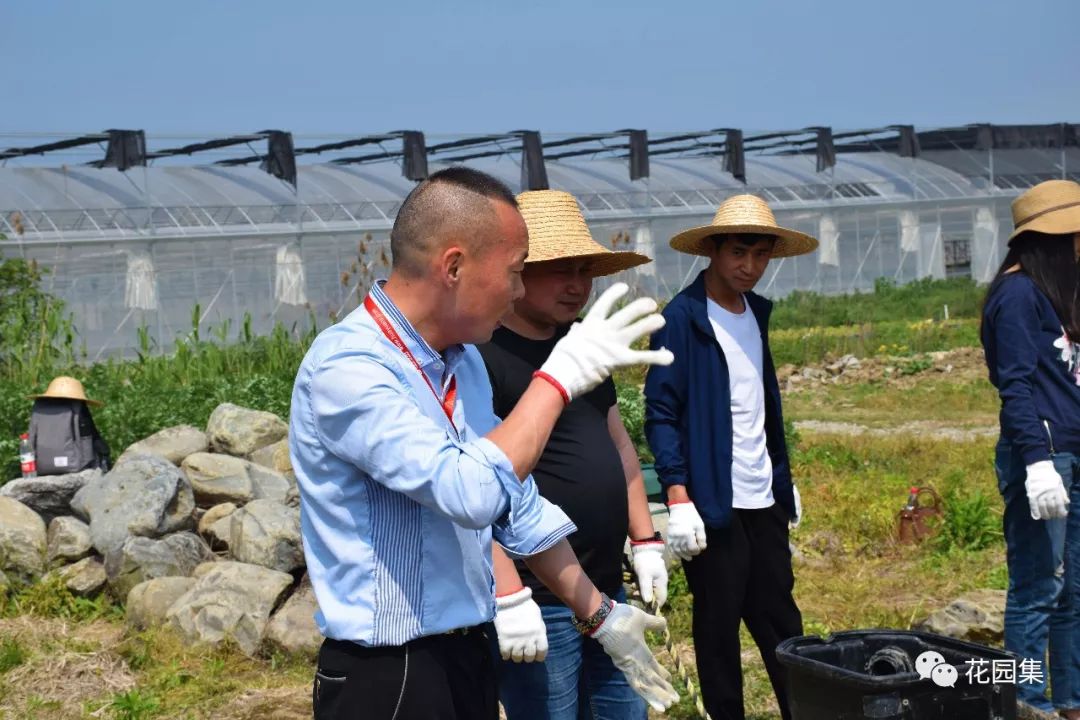 喷灌浇水最快的方法,庭院自动喷灌用什么水