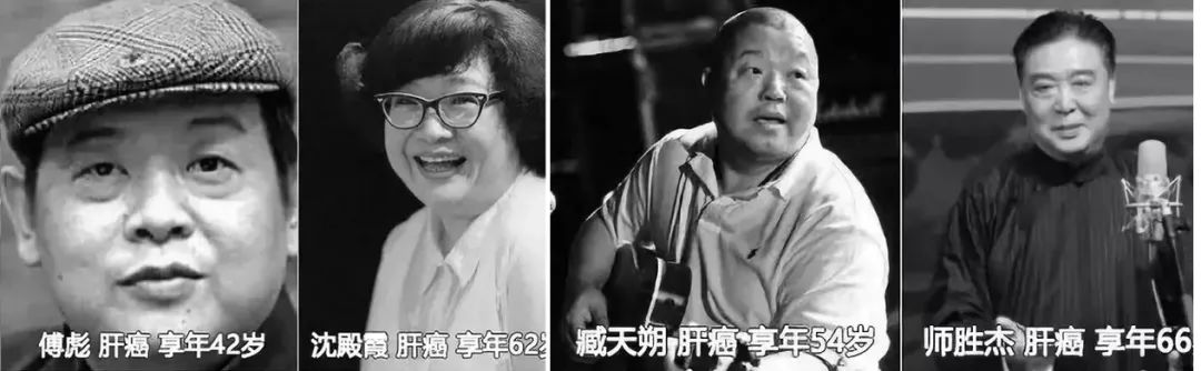 天然强肝剂护肝排毒,护肝排毒产品