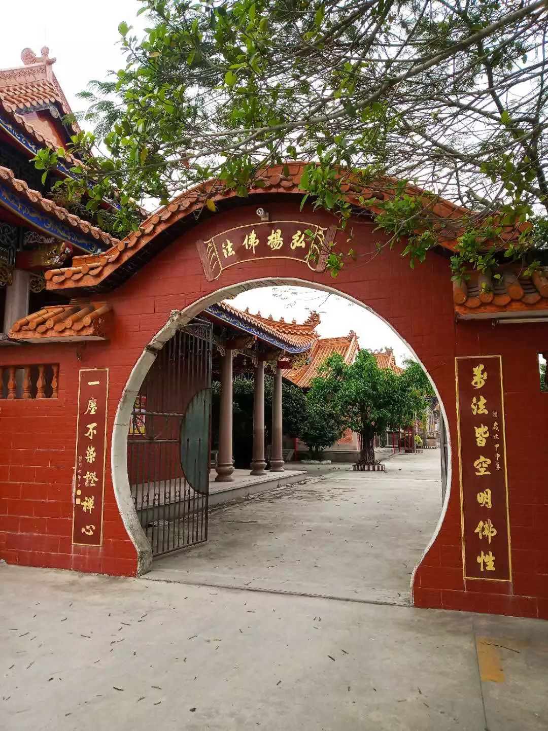 惠来客鸟尾“石笋区”+普宁“柜族小镇”+宝德寺一天游！仅需148元！