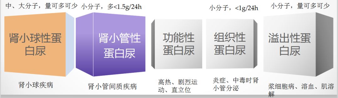 科普肾脏,医学科普出汗和肾脏关系