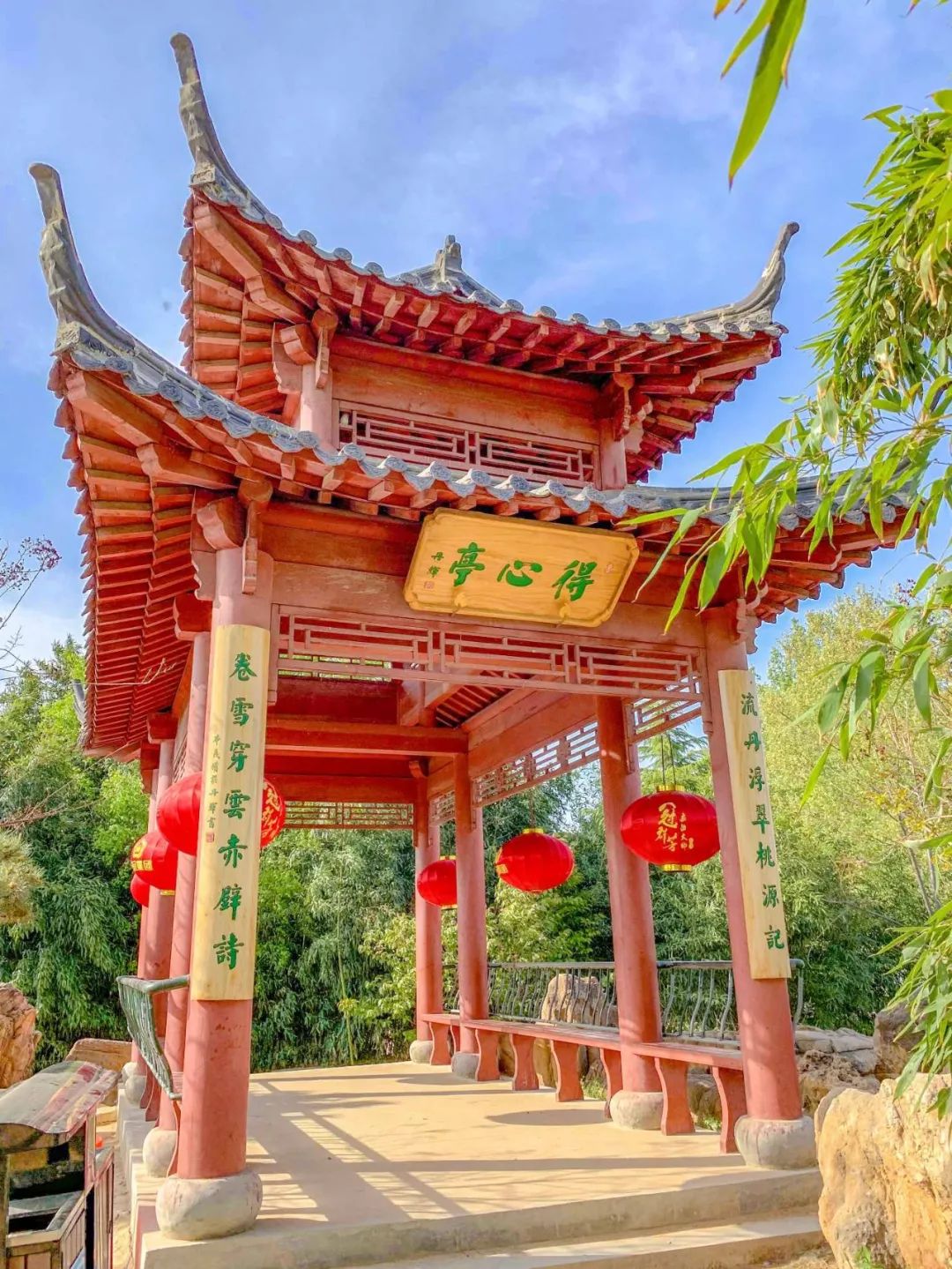 鑱婂煄濮滃牑涔愬洯妯辫姳,鑱婂煄濮滃牑妯辫姳涔愬洯