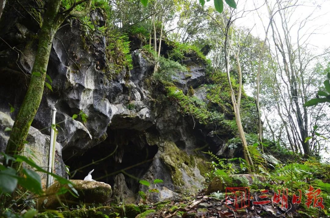 三明石器时代遗址公园,三明古遗址
