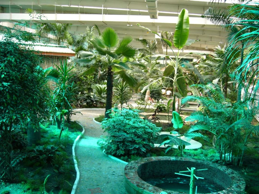 阿尔山五一适合旅游吗,五一阿尔山的风景怎样