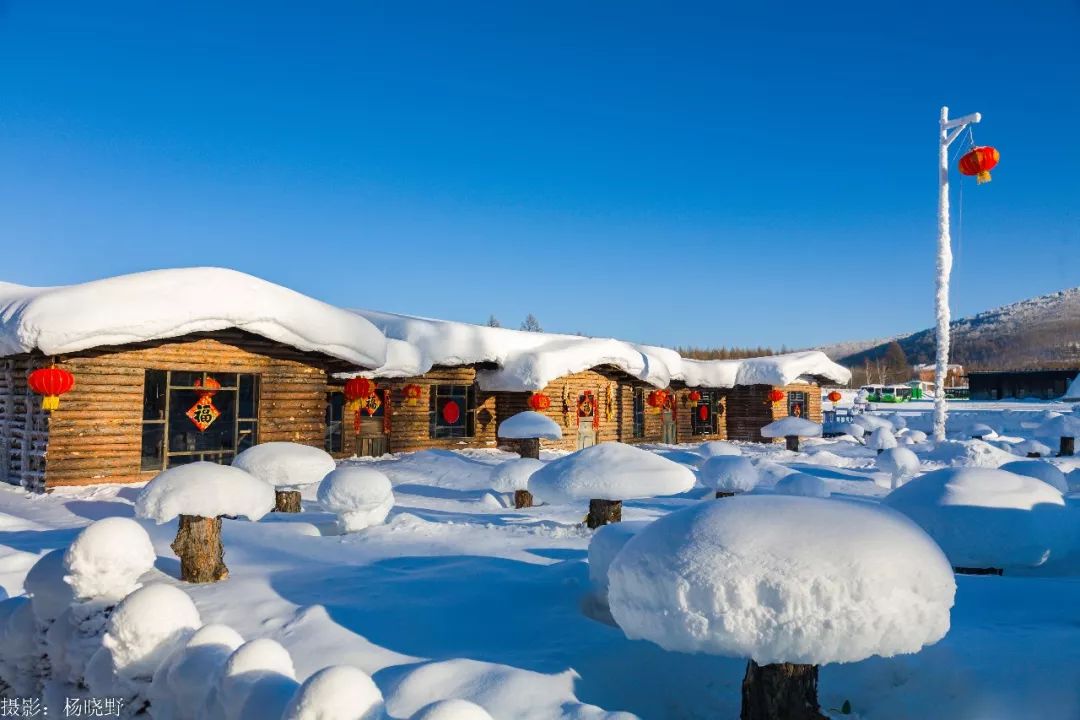 阿尔山五一适合旅游吗,五一阿尔山的风景怎样