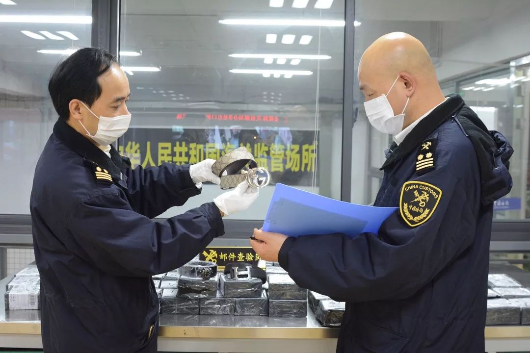 小虎普法丨知识就是力量产权必须保护