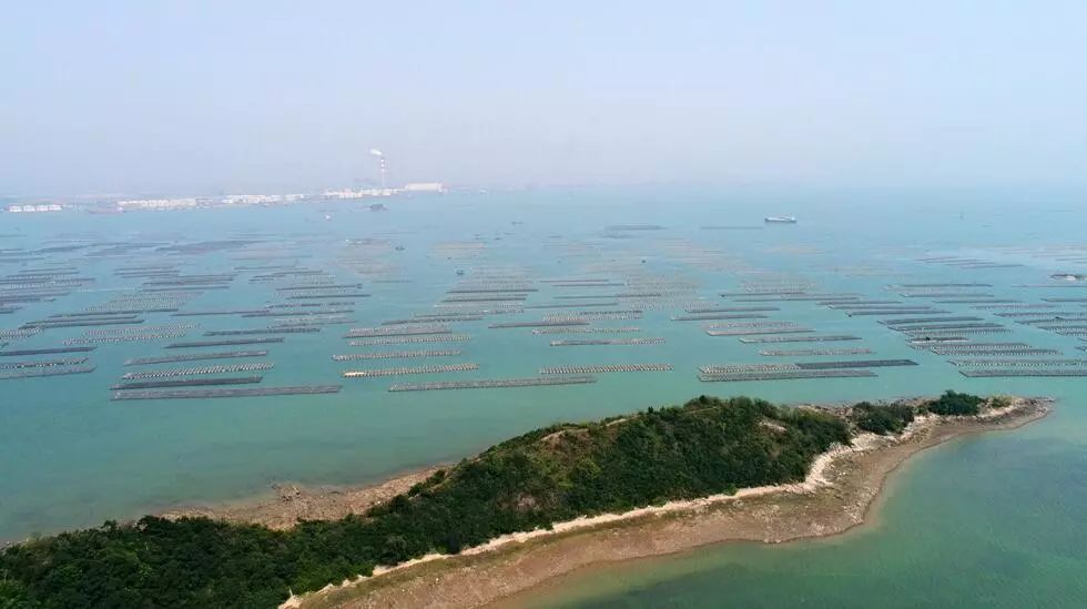 閽撻笨楸艰棰戦槻鍩庢腐,閽撻笨楸奸槻鍩庢腐