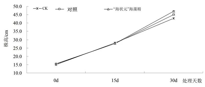 开普敦海藻精和海藻肥,海藻精新型肥料