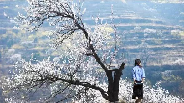 “五一”去哪玩?潍坊假期超丰富文旅大餐来袭!