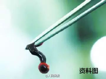 2岁的小孩眼皮突然有红点,小孩子眼皮上忽然凸起小泡泡