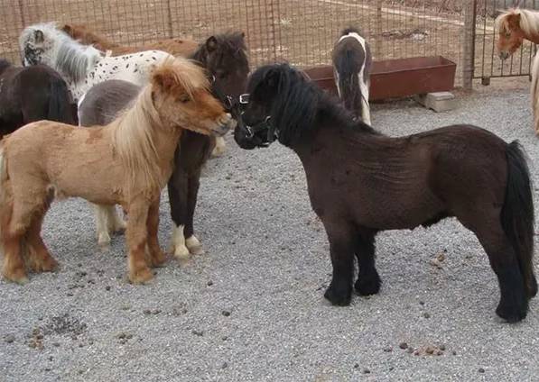 一封来自春天的邀请函,一封来自千里山海的寻味邀请函