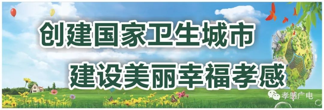 冒充警察招摇撞骗刑事处罚,冒充警察四处招摇撞骗被抓