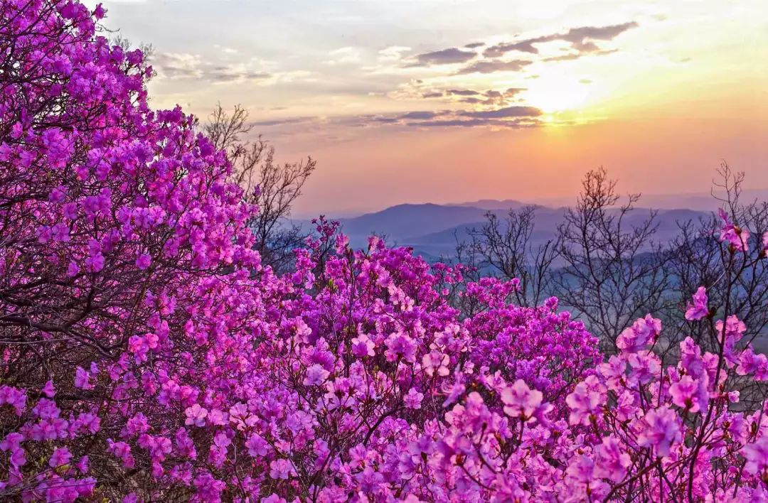 通辽文化旅游季来啦,通辽市哪里适合踏青