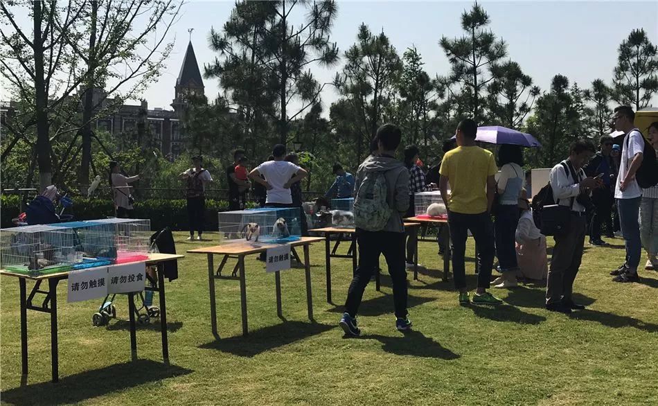 汉口里五一节有什么活动,汉口里五一活动