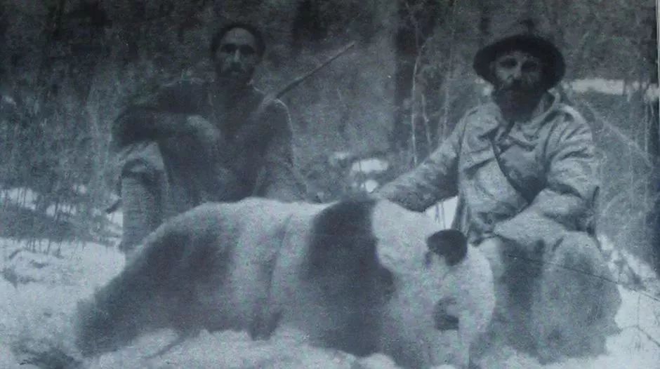 【荐读】熊猫：萌啥子哟，我是要雄起！