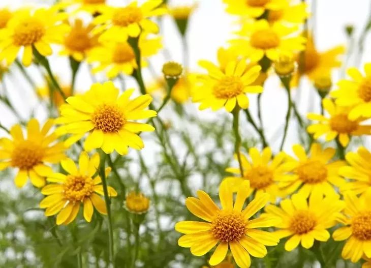 德国变态震动棒,啪啪啪间抚平眼袋、黑眼圈!不用开刀,就能让你年轻十岁!