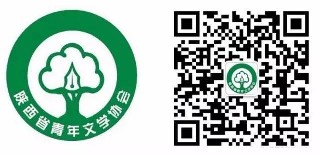 陈忠实的初夏,陈忠实的中篇小说初夏