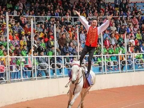 去处｜你真的知道怎么玩转上海野生动物园吗？最全指南在这里！