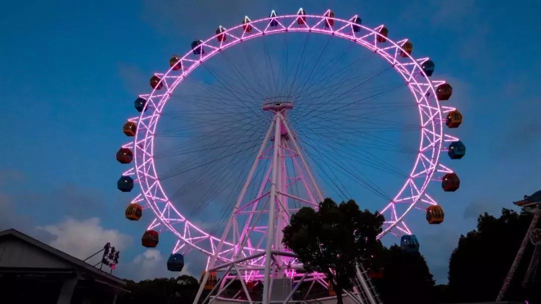 去处｜你真的知道怎么玩转上海野生动物园吗？最全指南在这里！