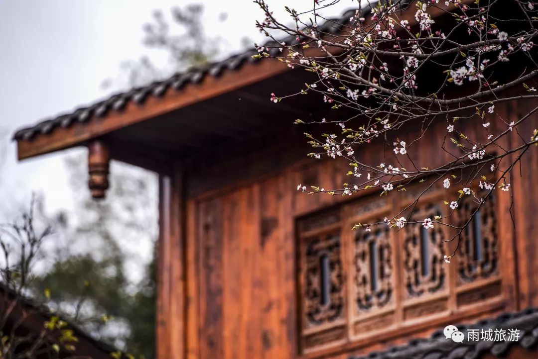 51去西安有没有便宜点的民宿,今夏旅游十大必住民宿