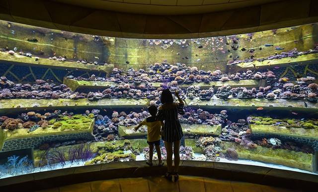 三亚旅游攻略三亚亲子游玩,暑假带孩子自驾三亚攻略