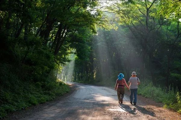错过等一年,错过等一年歌曲视频