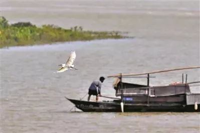 佛山亲子游好去处免门票花海,佛山儿童公园游玩攻略