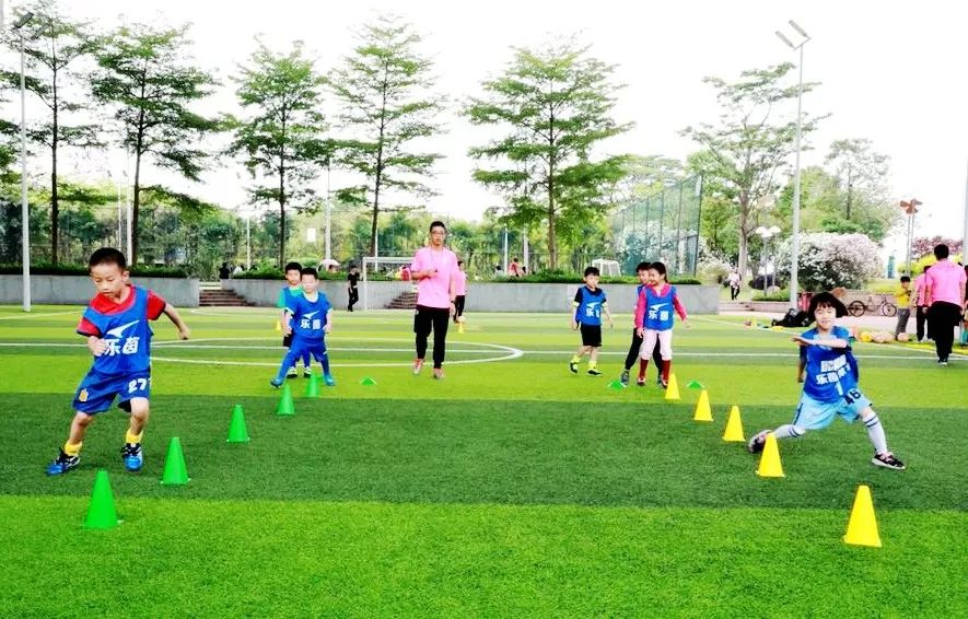 佛山亲子游好去处免门票花海,佛山儿童公园游玩攻略