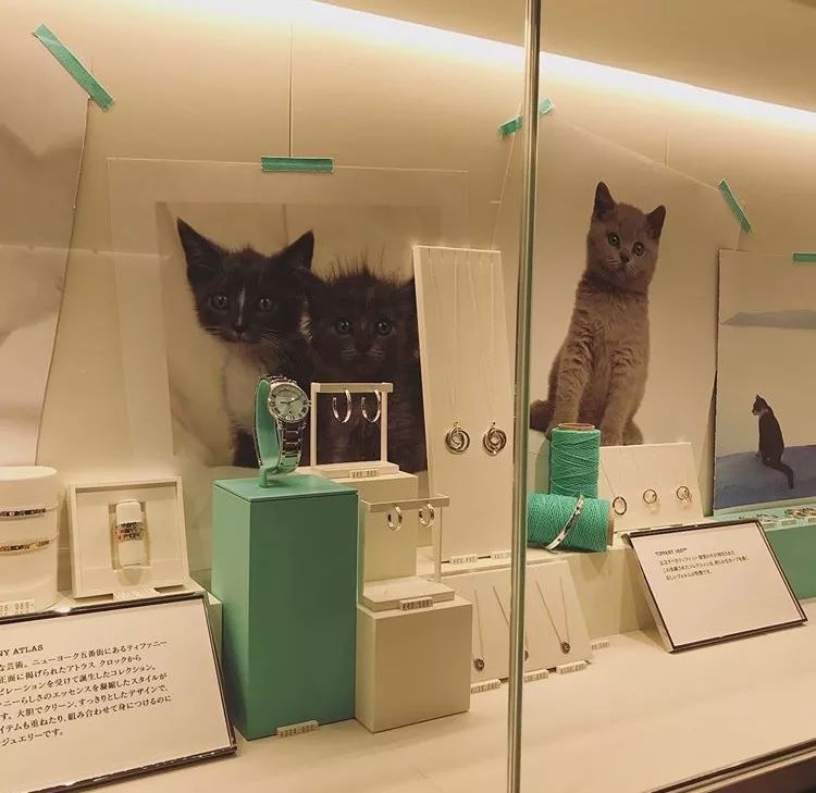 东京蒂芙尼咖啡,tiffany东京咖啡