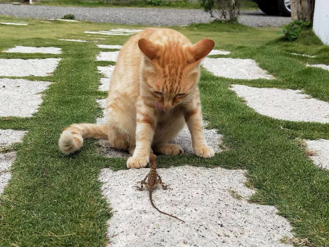 十年之后我不再羡慕任何人的婚姻,结婚后不羡慕任何人的婚姻